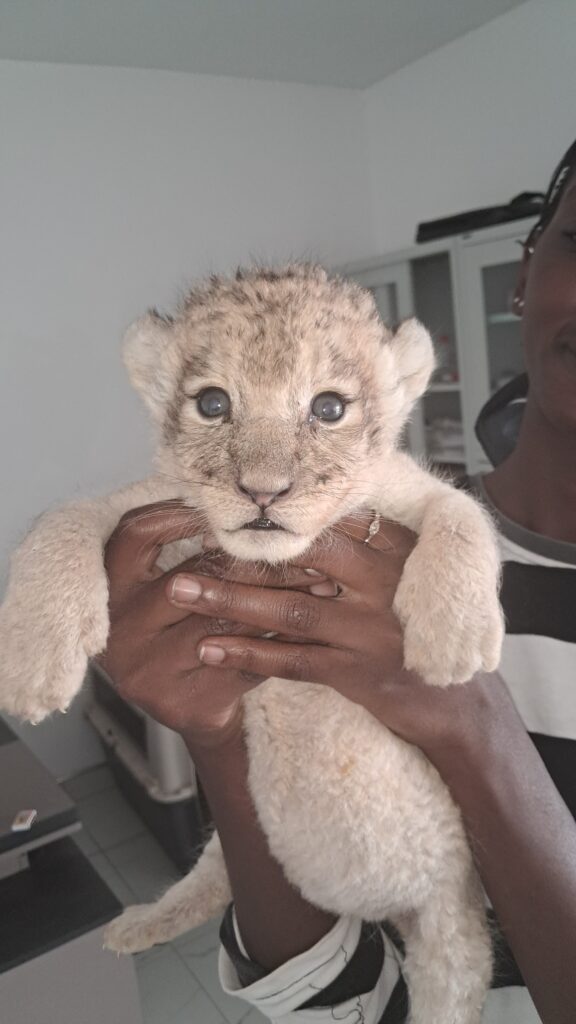 No name yet 2