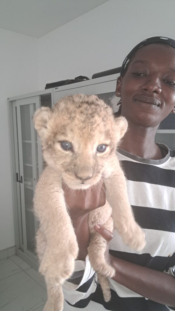 No name yet